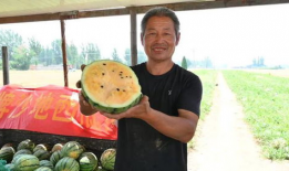 村干部吃瓜爆料视频最新,揭秘乡村背后惊人真相